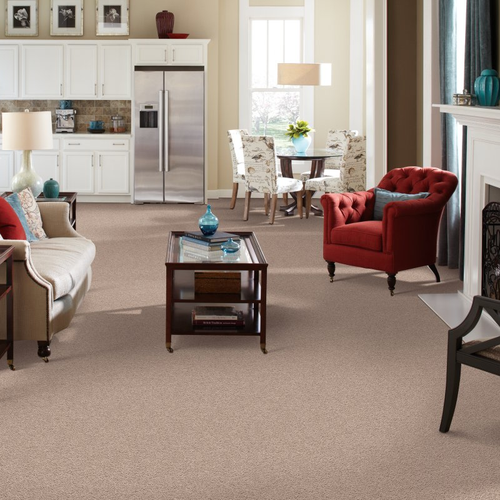 Midstates Flooring Center is providing stain-resistant pet proof carpet in Brookings, MD - Sp50(s)- 18 (S)